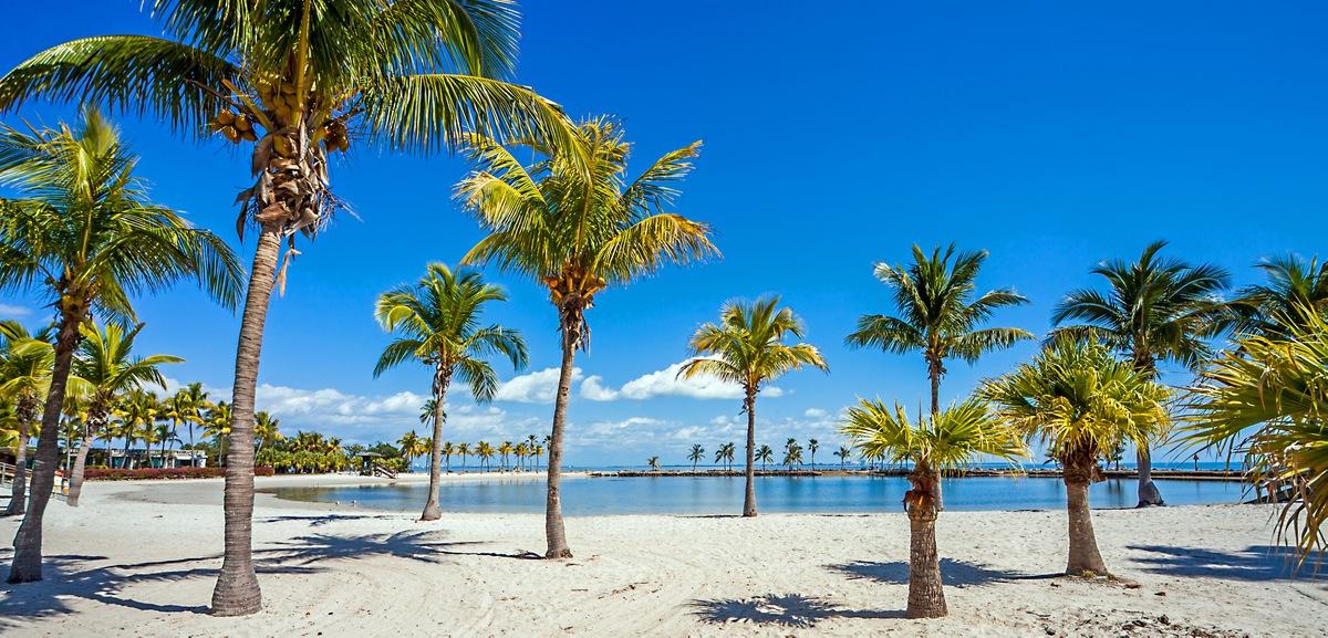 Парк Мэтсон Хаммок (Matheson Hammock Park Beach)