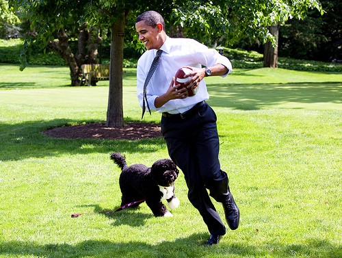 собака Обамы