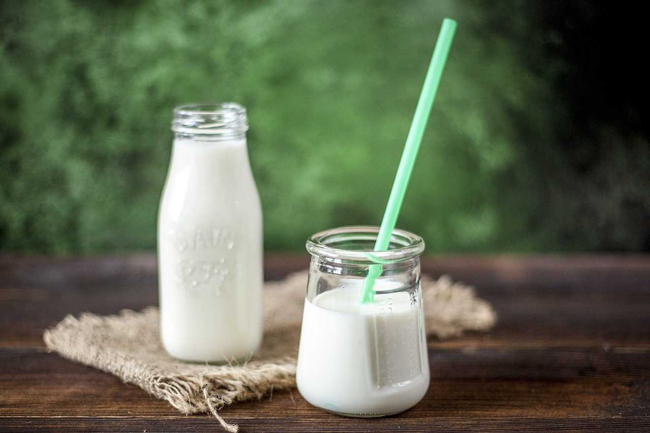 15 продуктов для повышения детского иммунитета - Молоко