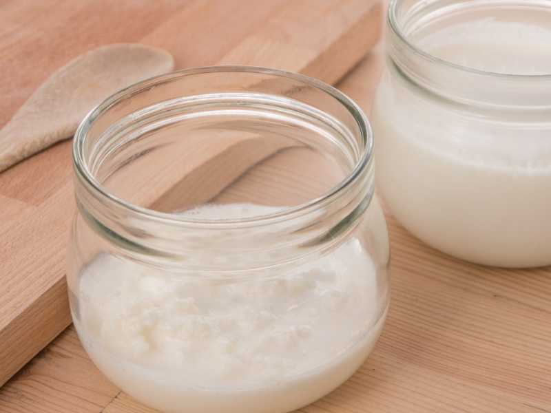 Рецепт приготовления из козьего молока кефира и йогурта