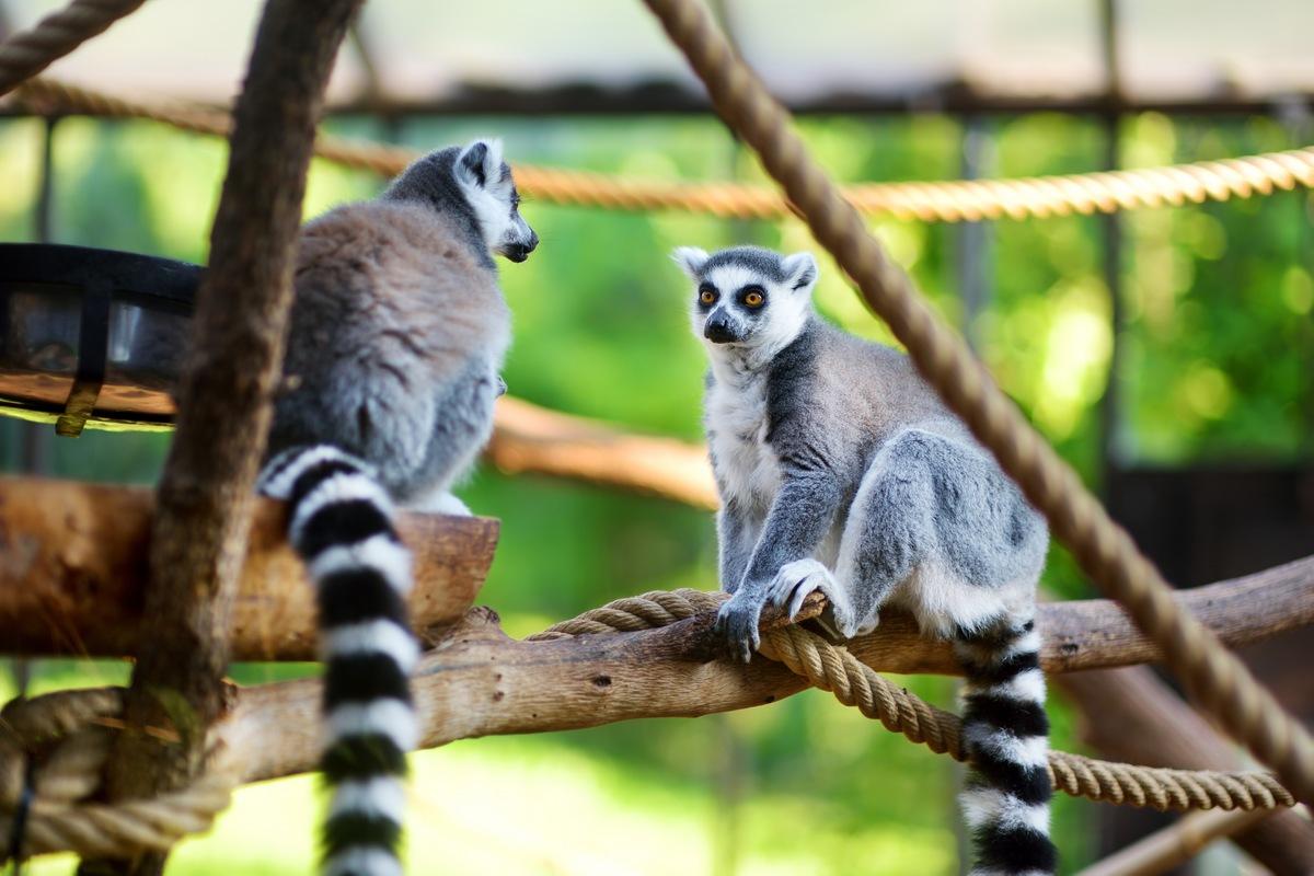 10 лучших зоопарков мира