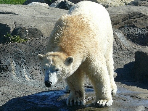 Columbus Zoo and Aquarium