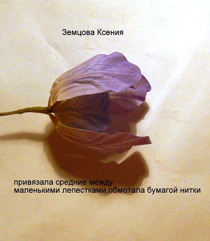 средние лепестки