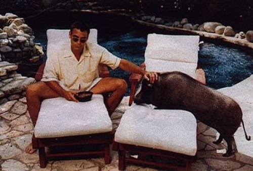 Джордж Клуни и свинья Макс