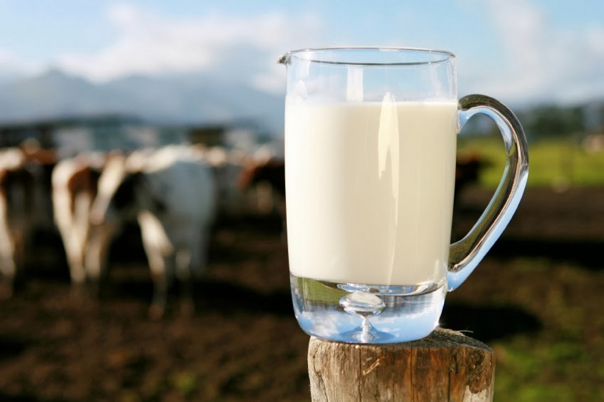 7 здоровых причин пить натуральное молоко