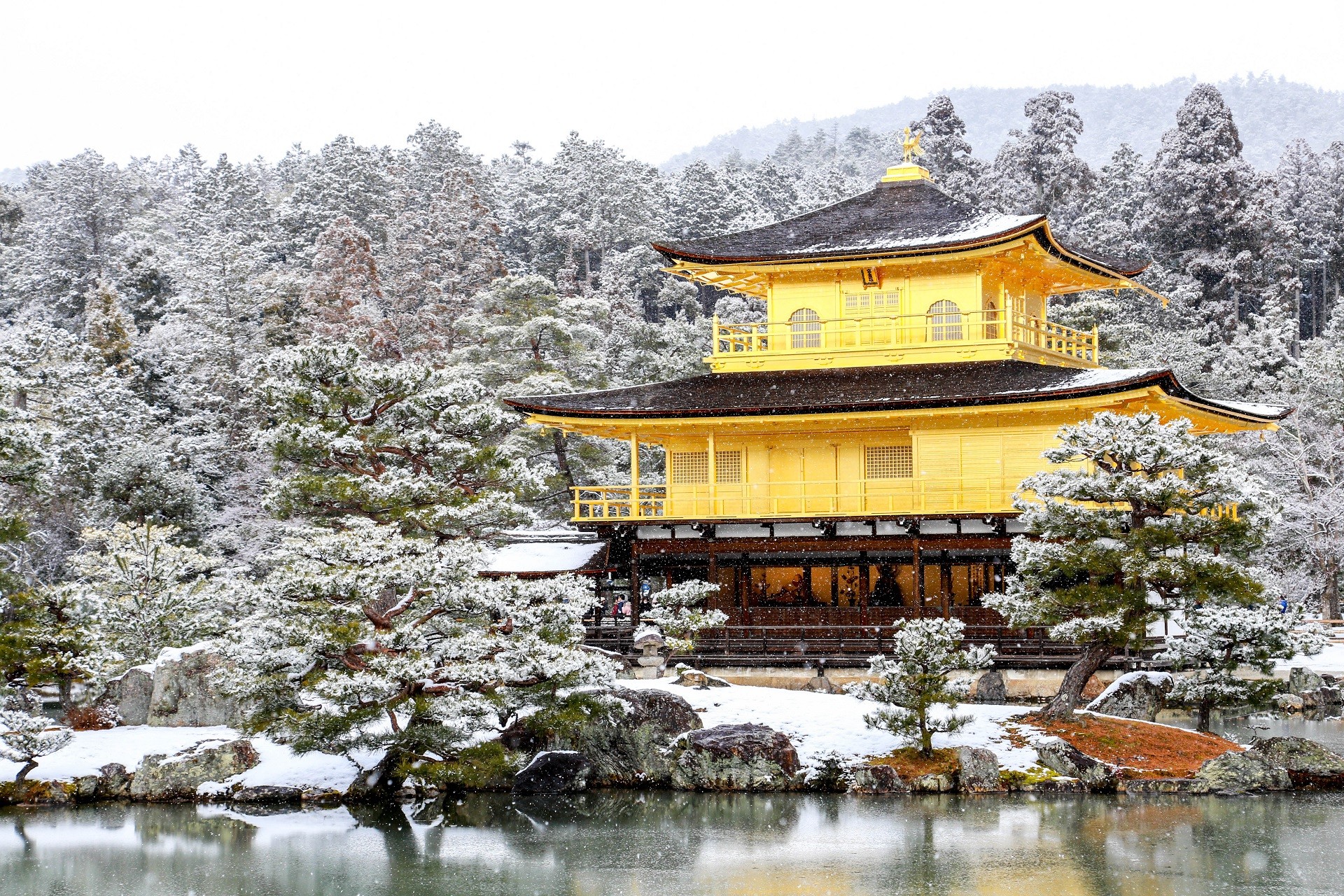 Золотой храм (Киото)