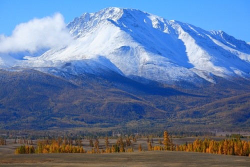 Золотые горы Алтая