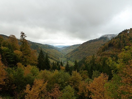 Черный лес, Германия