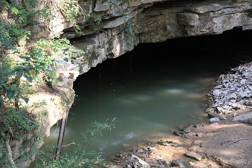 Мамонтова пещера (Кентукки, США)