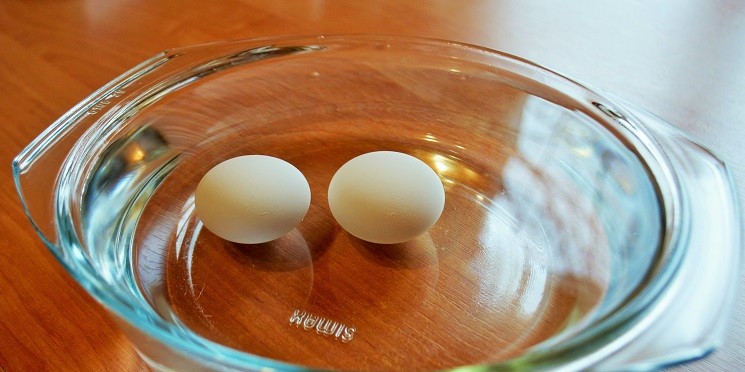 Как проверить куриные яйца на свежесть в домашних условиях