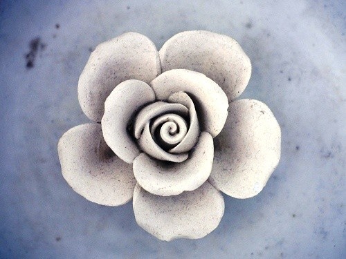 Цветы из полимерной глины