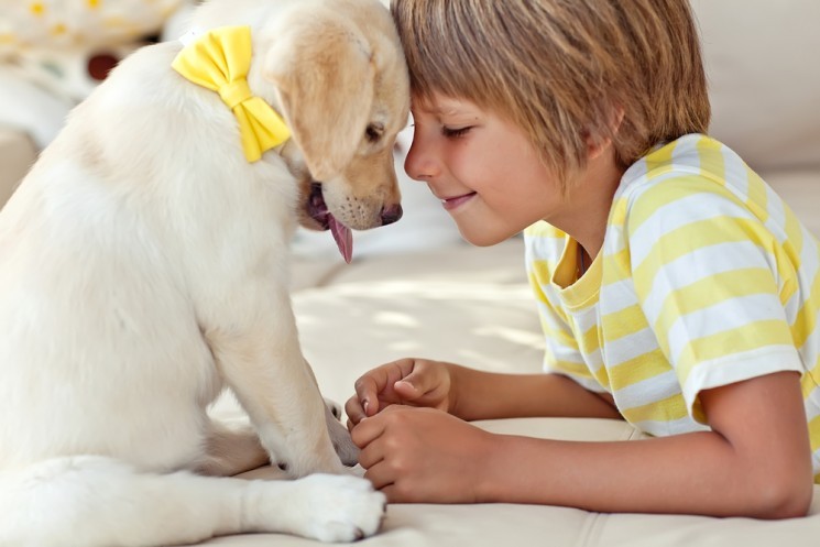 Ребенок и собака: 11 правил поведения