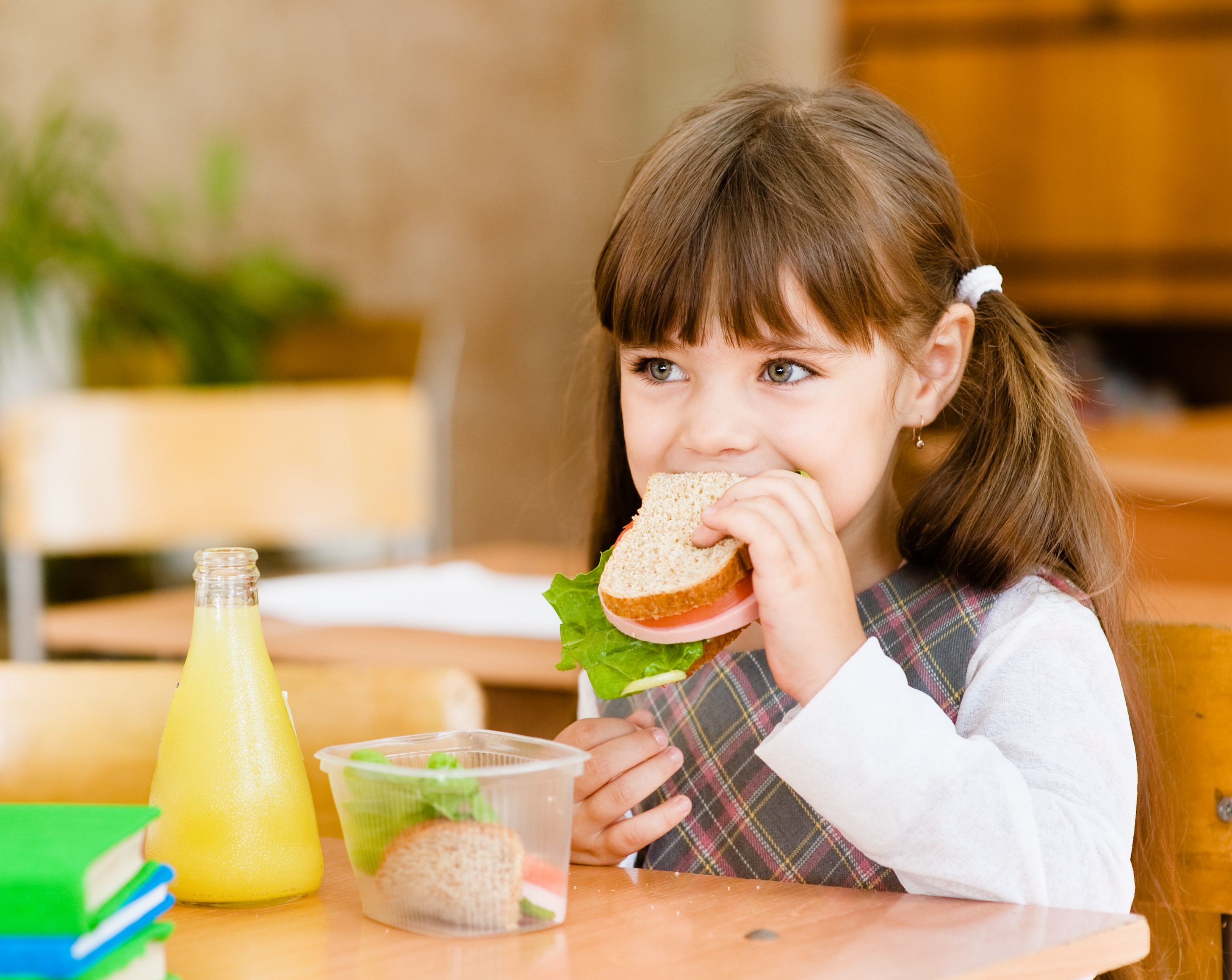 Как правильно кормить ребенка при отсутствии нормального питания в школе