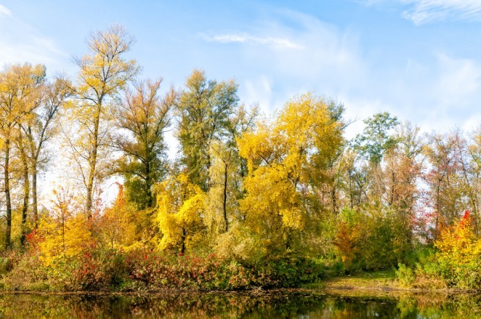 Парк Дружбы народов