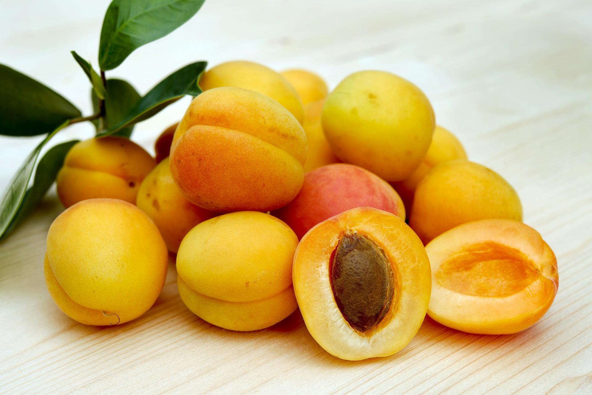 О полезных свойствах абрикоса